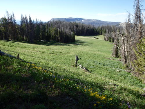 GDMBR: A view over a beautiful park.